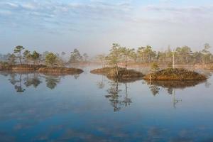 Spring in the swamp lakes photo