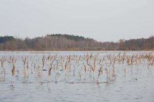 Flooded Meadows in Spring photo