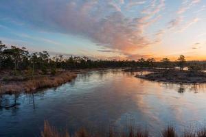 Spring in the swamp lakes photo