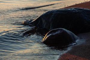 Sunset Colors in the Sea Stones photo