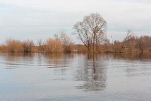 Flooded Meadows in Spring photo