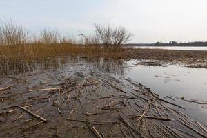 Flooded Meadows in Spring photo