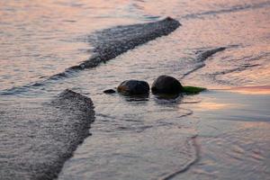 Sunset Colors in the Sea Water photo