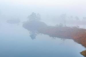 Spring in the swamp lakes photo