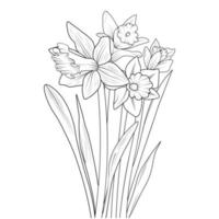 narcisos dibujados a mano, ramo de flores de narciso ilustración de boceto vectorial arte de tinta grabado colección de ramas de hojas botánicas aisladas en la página de color de fondo blanco y libros. vector