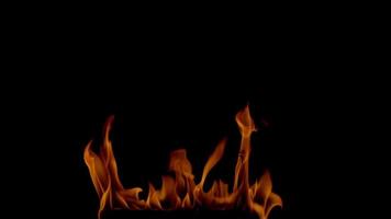 Realistic burning orange flame of fire on black background video