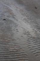 Patterns in The Beach Sand photo