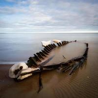 Baltic Sea Coast in Winter With Ice at Sunset photo