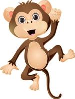 Cute baby monkey cartoon posing vector