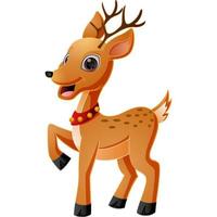 Cute baby deer cartoon on white background vector