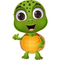 Cute little turtle cartoon on white background vector