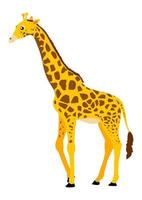 Giraffe Cartoon Character Vector On White Background