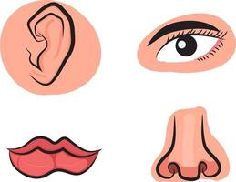 oreja, ojo, boca, nariz ilustración vectorial vector