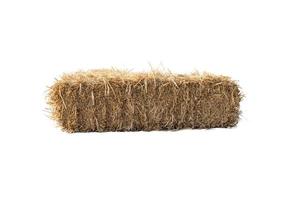 Golden yellow haystack isolated on a white background hay is a tightly joined bale of straw. photo