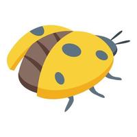 Spring ladybug icon isometric vector. Cute insect vector