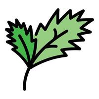 Parsley plant icon color outline vector