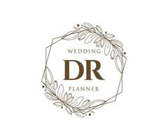 colección de logotipos de monograma de boda con letras iniciales dr, plantillas florales y minimalistas modernas dibujadas a mano para tarjetas de invitación, guardar la fecha, identidad elegante para restaurante, boutique, café en vector