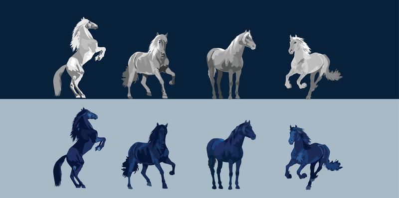 horse vector illustration set