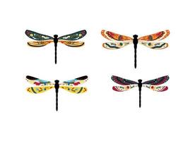 Dragonfly and with Pattern vector