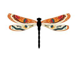 Dragonfly and with Pattern vector