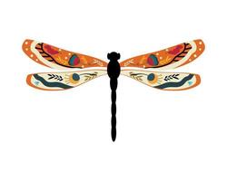 Dragonfly and with Pattern vector