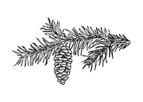 Branches Illustrations in art Ink style vector