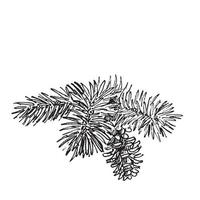 Branches Illustrations in art Ink style vector