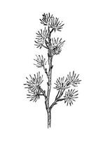 Branches Illustrations in art Ink style vector