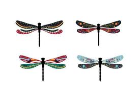 Dragonfly and with Pattern vector