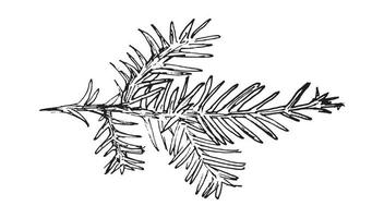 Branches Illustrations in art Ink style vector