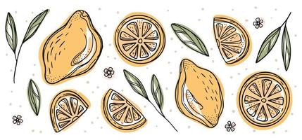 Abstract line set of lemon icons, isolated on white background. For web, print, product design. Doddle, contour. Vector hand-drawn flat illustration of Lemon slices, Fresh citrus and chopped lemon