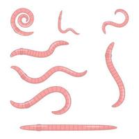 A set of earthworms. Pink worms of different shapes vector