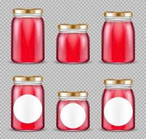 Jam jars, glass containers for fruit jelly set vector