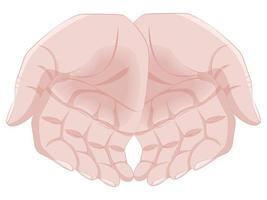 Scoop Hands Semireal vector