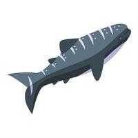 Ocean whale shark icon isometric vector. Aquarium fish vector