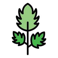 Parsley botany icon color outline vector