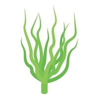 Alga plant icon isometric vector. Spirulina food vector