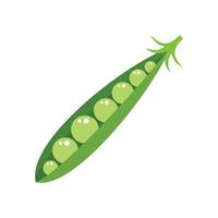 Peas icon flat isolated vector