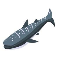 icono de tiburón ballena de arrecife vector isométrico. pescado de mar