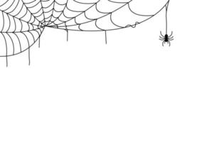elemento de arte de línea de tela de araña negra para cartel de miedo vector