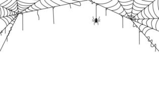 spider web background for halloween template design vector