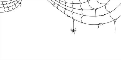 spider web for halloween design element vector