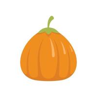 Art pumpkin icon flat isolated vector