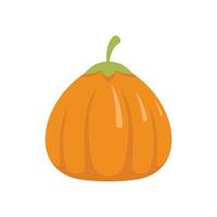 Art pumpkin icon flat isolated vector