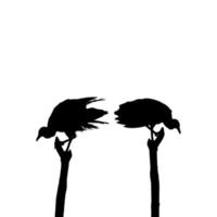 Silhouette of the Black Vulture Bird, Based on my Photography as Image Reference, Location in Nickerie, Suriname, South America. Vector Illustration