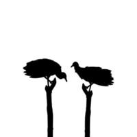 Silhouette of the Black Vulture Bird, Based on my Photography as Image Reference, Location in Nickerie, Suriname, South America. Vector Illustration