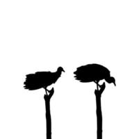 Silhouette of the Black Vulture Bird, Based on my Photography as Image Reference, Location in Nickerie, Suriname, South America. Vector Illustration