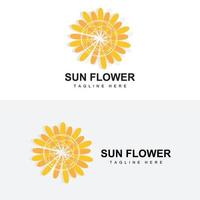 diseño de logotipo de girasol, vector de icono de planta de jardín de plantas ornamentales, marca de producto de la empresa