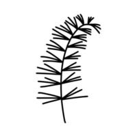 Plant branch silhouette vector icon. Hand drawn sprig of horsetail, rosemary. Sketch of wild medicinal herb. Meadow or garden flower isolated on white background. Clipart for cards, posters, packaging