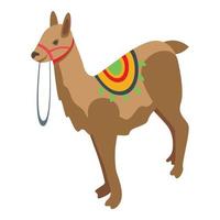 icono de lama de vacaciones vector isométrico. animales lindos